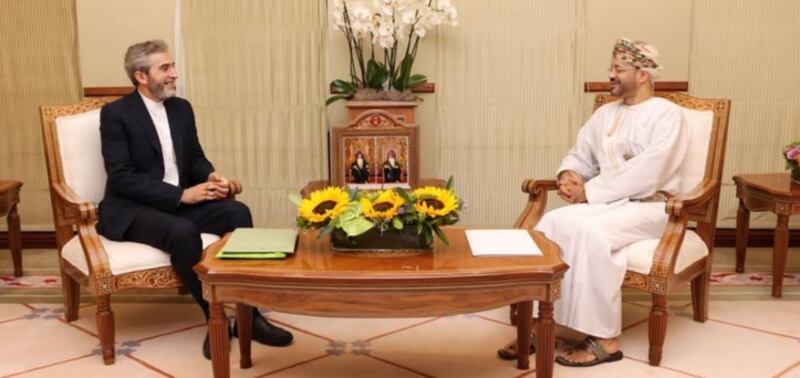 وزير الخارجية يستقبل كبير المفاوضين الإيرانيين في الملف النووي