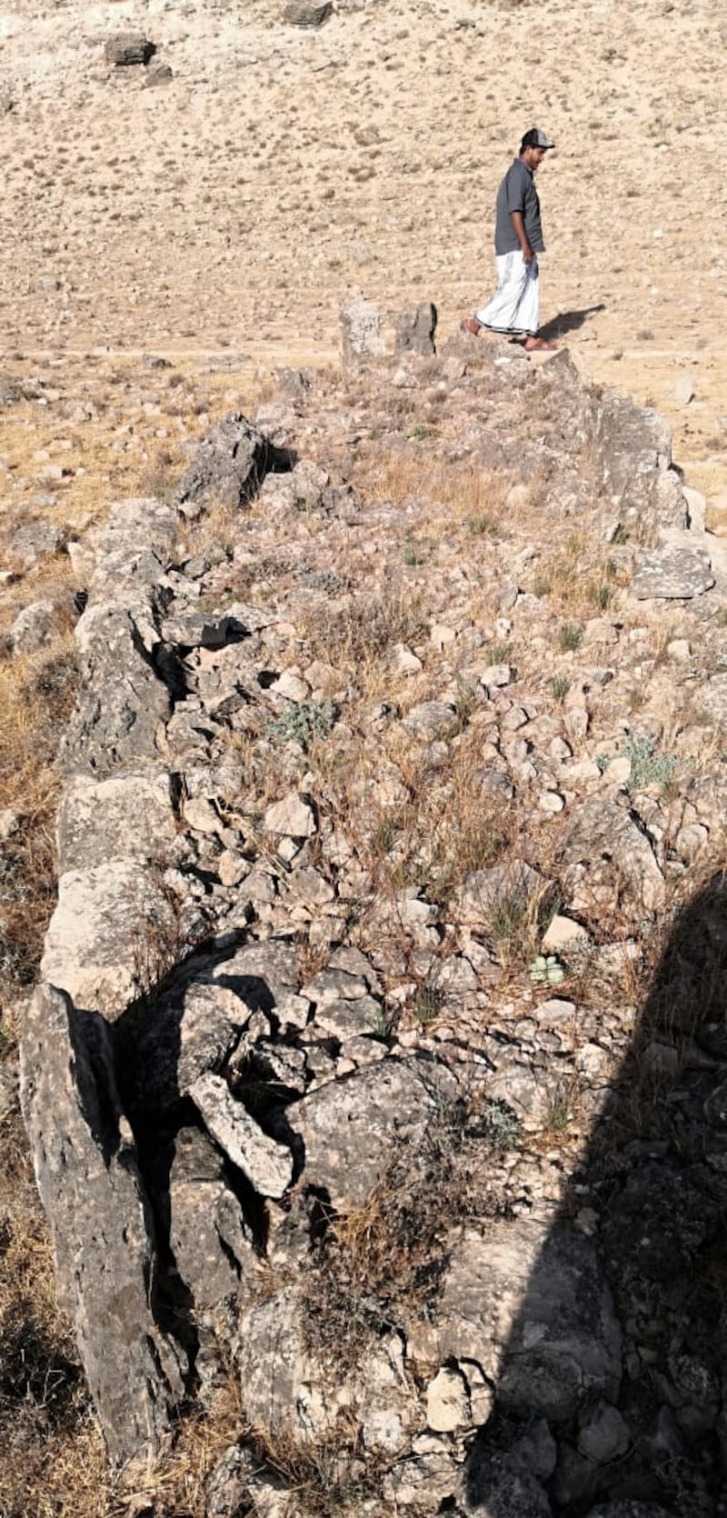 “حيوان سيلول” نموذجًا: آثار قديمة في ظفار نُسِجت حولها أساطير