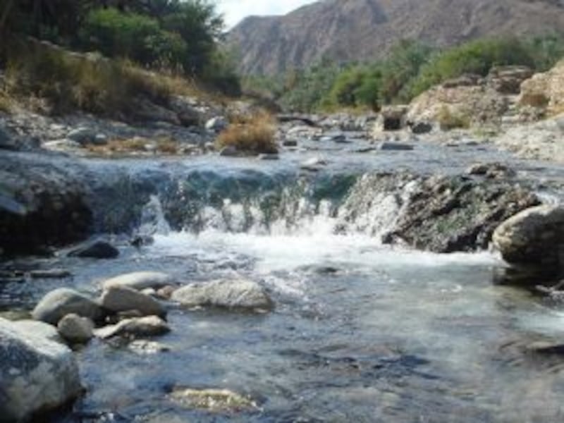 #السياحة_في_بلادي: ماذا تعرف عن الوادي ذي الخضرة والشلالات في الباطنة؟  