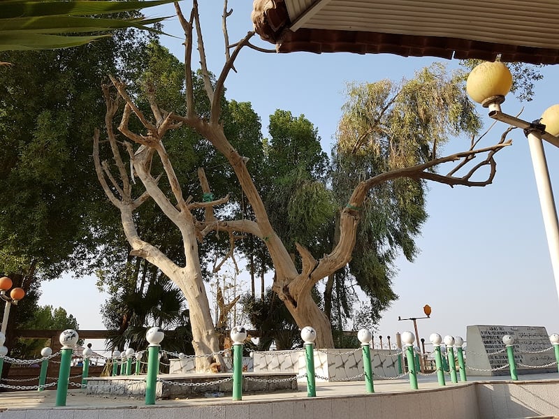 كأس الخليج سيكون في البصرة؛ فماذا تعرف عن هذه المدينة المُسمّاة بـ “خزانة العرب”؟