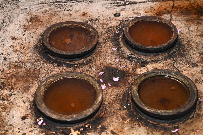 يستخدم في عدة صناعات: ماذا تعرف عن ورد الجبل الأخضر؟