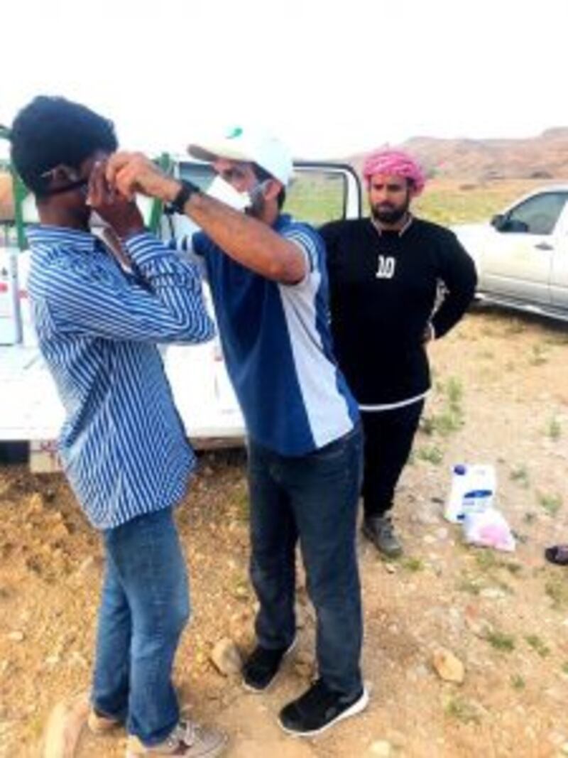 بالصور: رصد بؤر لتجمعات الجراد الصحراوي والزراعة تتعامل معها