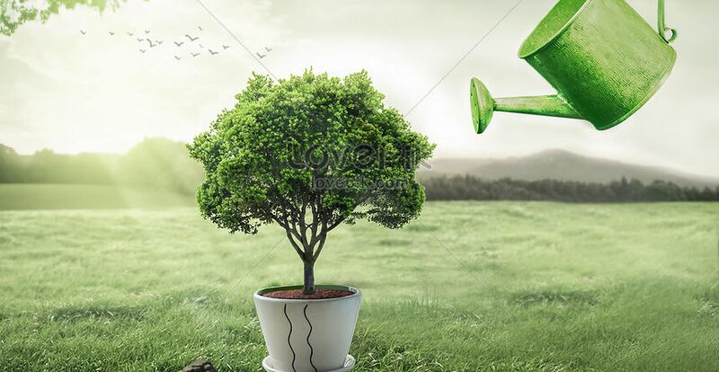 ما قصة الاحتفال بيوم الشجرة؟