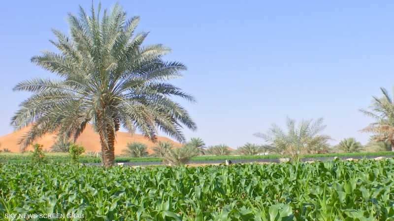 إعلان عدد من الولايات مناطق حجر زراعية