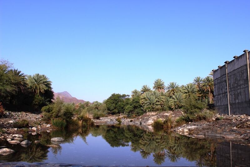 بالصور: القرية العمانية ذات المياه الوفيرة والأشجار الوارفة والآثار القديمة