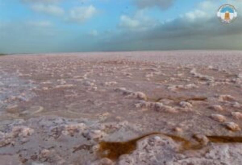 يوم البيئة الإقليمي تم إقراره منذ أكثر من 40 عامًا