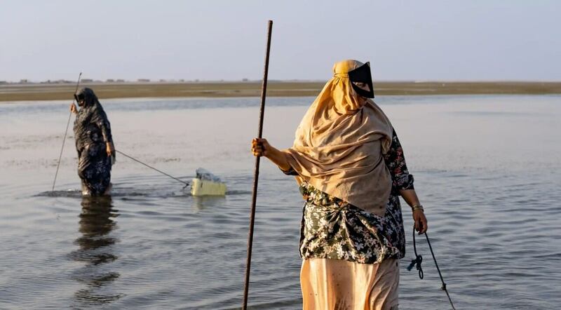 الغارديان البريطانية تروي قصة نساء عُمانيات مع مهنة الصيد