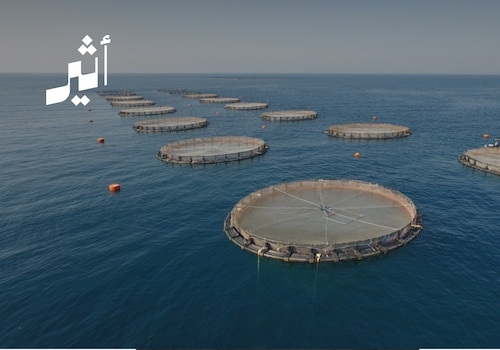 ارتفاع البورصة والاستثمارات الأجنبية ونمو الموانئ: أبرز الأخبار الاقتصادية اليوم