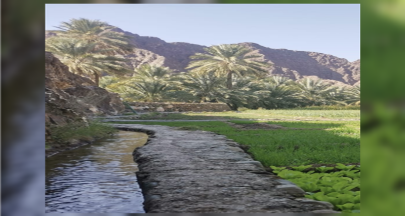 “ريمي” .. قريةٌ يستريح فيها السائح، فماذا تعرف عنها؟