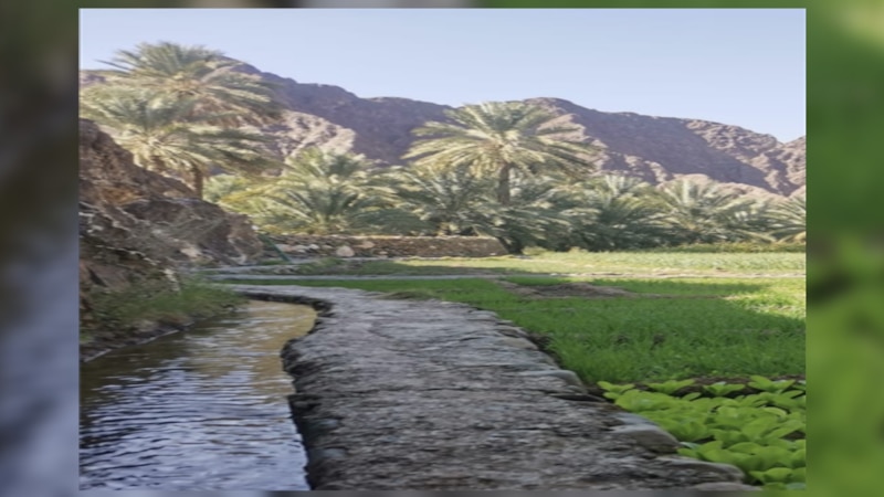“ريمي” .. قريةٌ يستريح فيها السائح، فماذا تعرف عنها؟