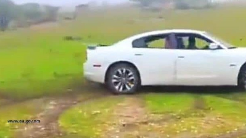 معاقبة مخرب للمسطحات الخضراء بالسجن والغرامة