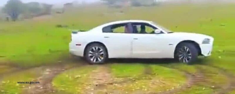 معاقبة مخرب للمسطحات الخضراء بالسجن والغرامة