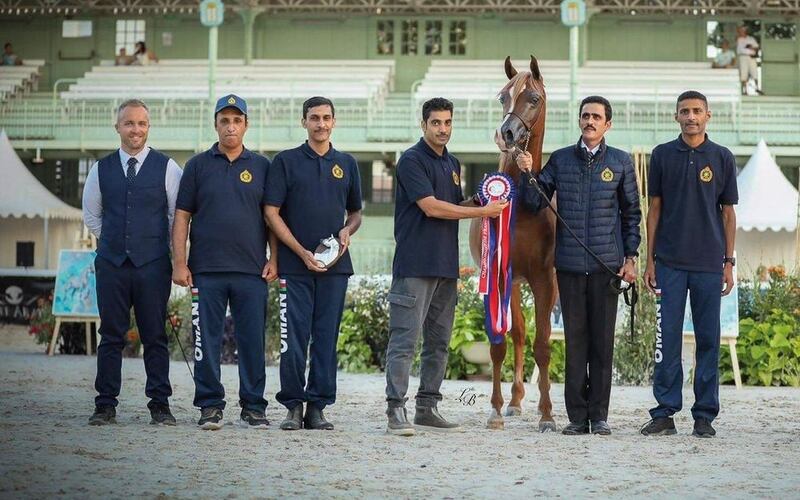 ألقاب جديدة للخيالة السلطانية في بولندا وفرنسا