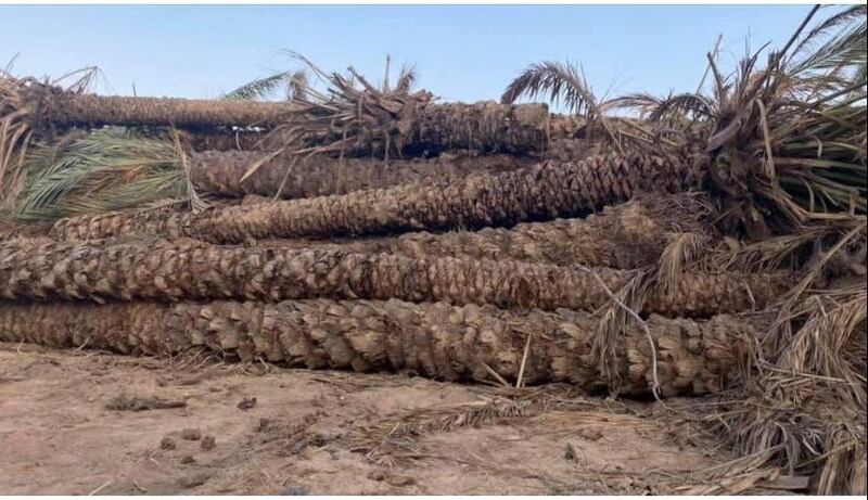 أوامر سامية بتوزيع فسائل لمتضرري شاهين