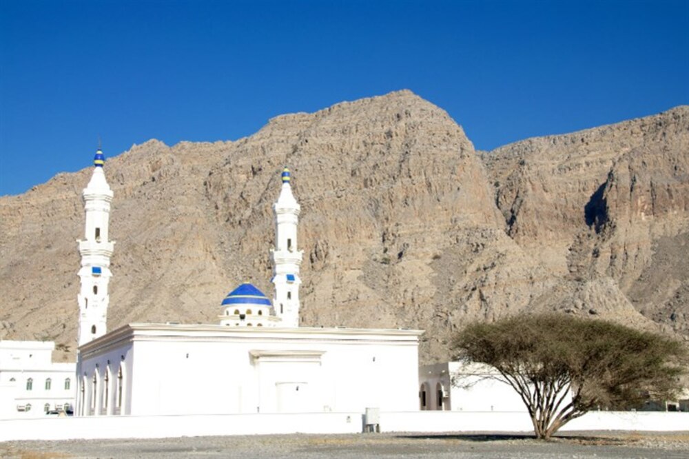 بالصور: خصب..اسمٌ على مسمّى وعنوان للجمال المُبتغى