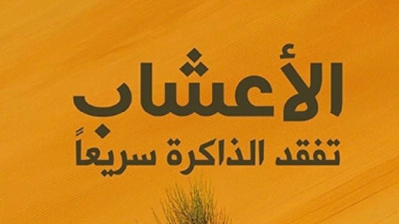 رشا الفوال تكتب: الذات الانفعالية بين الغربة والاغتراب في مجموعة محمد قراطاس الشعرية