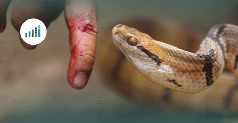 قد تتسبب في مضاعفات خطيرة: كيف تتعامل مع لدغات الأفاعي؟