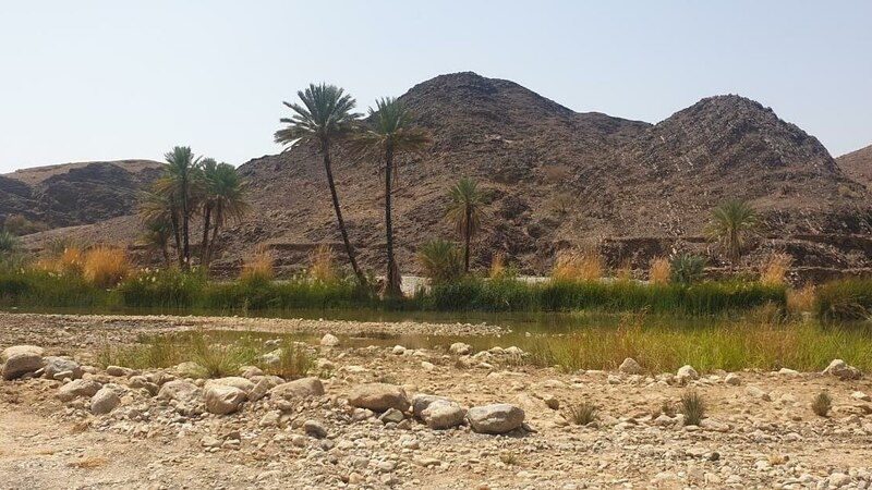 المَنَة والمنزف: متنفس صحي لمرتاديهما