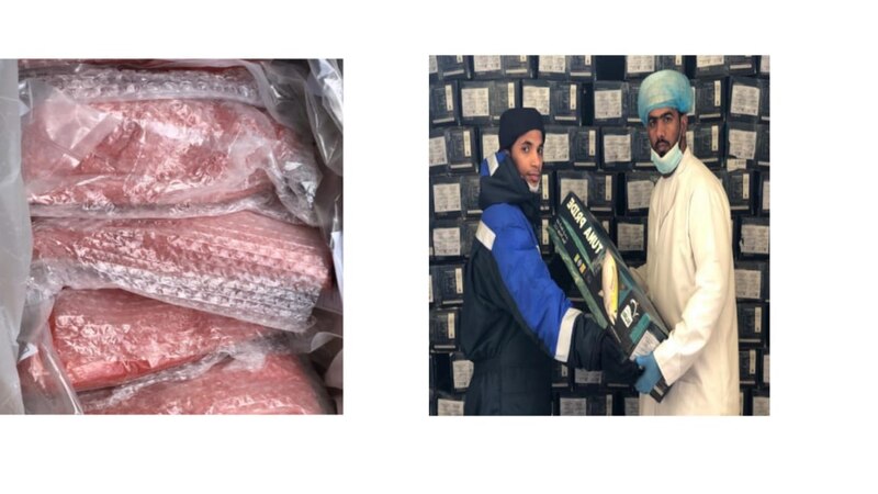 بدء تصدير الأسماك العمانية إلى روسيا