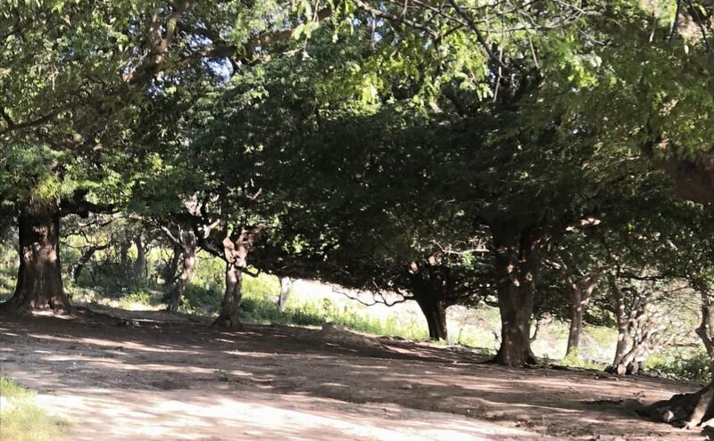 بالصور: “شعبون” مكان سياحي ساحر في ظفار