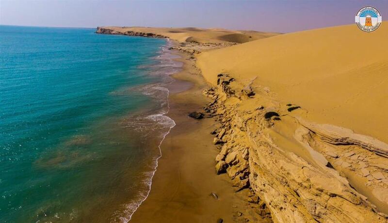 يوم البيئة الإقليمي تم إقراره منذ أكثر من 40 عامًا