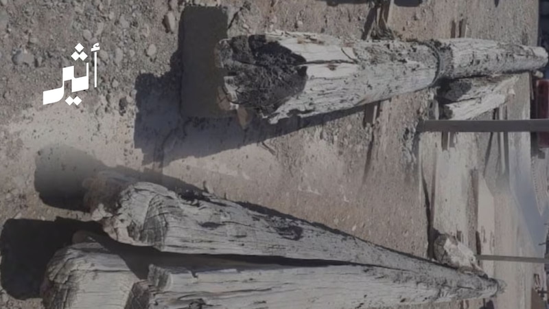 بعد (60) عامًا من جنوحها على ساحل بحر العرب: ما قصة عودة صارية السفينة “النايف”؟
