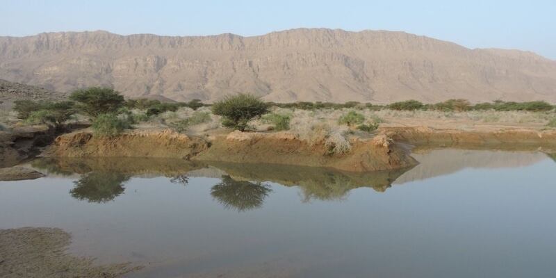 بعد المراسيم السلطانية اليوم: 30 محمية طبيعية؛ فكيف تُستثمَر؟