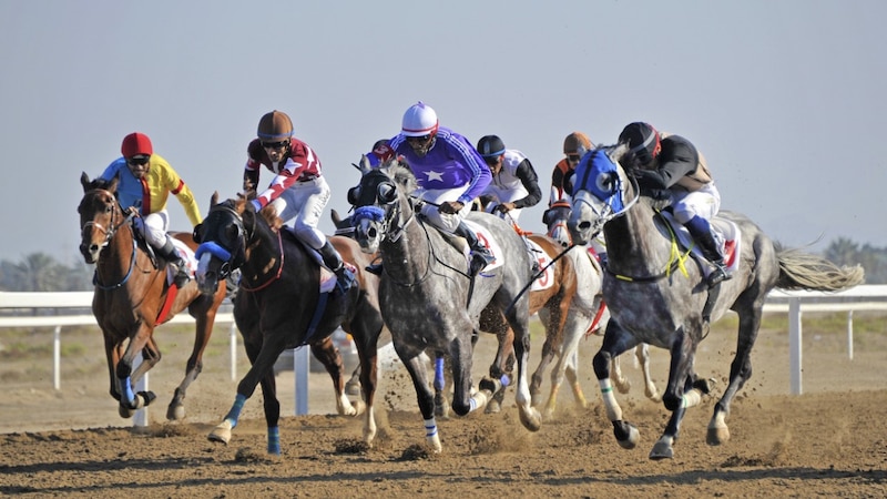 ملّاك الخيل يطرحون تساؤلات حول السباقات.. ويُطالبون بالاهتمام