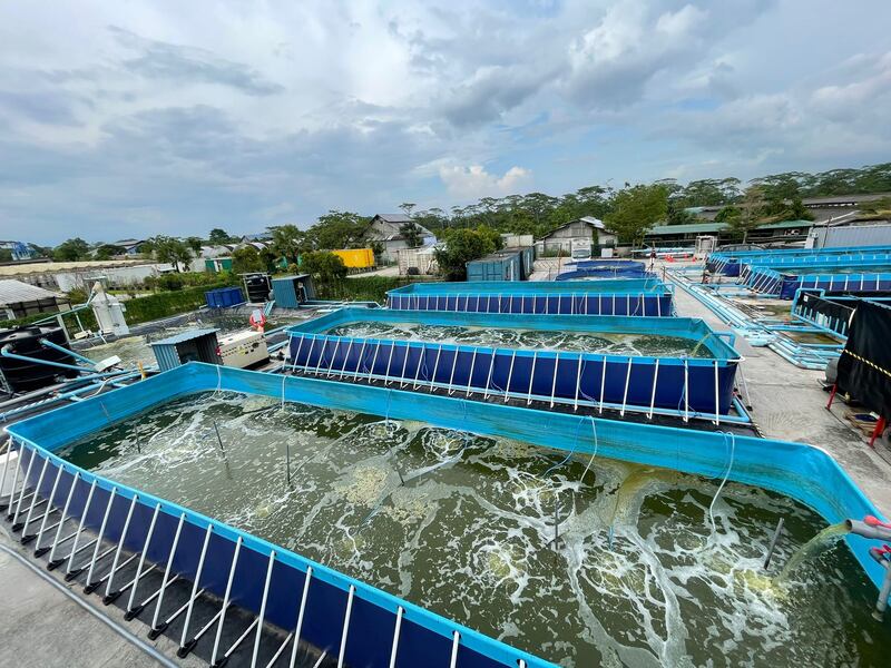 استثمار عماني في سنغافورة بنحو 9 ملايين دولار