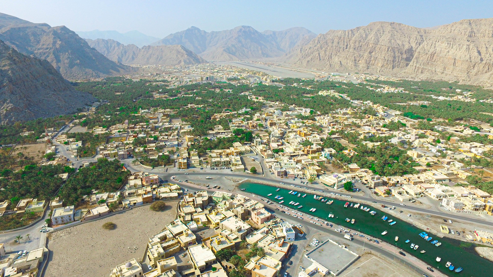 مسندم على موعد مع زراعة 100 ألف شجرة