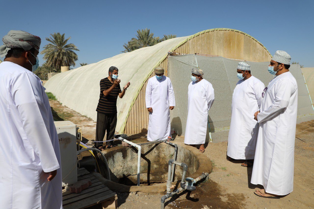 مواطن ينجح في تطبيق نظام يزيد من إنتاج الخيار