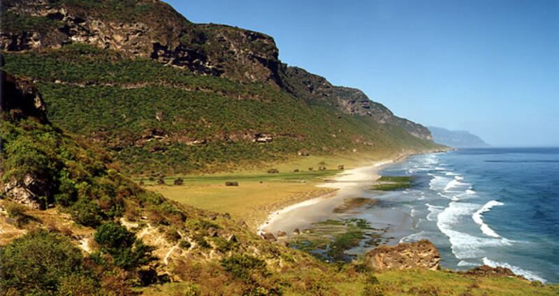 بالصور: “خرفوت” قصة الابتهال الأخير قبل الرحيل…فماذا تعرف عنها؟