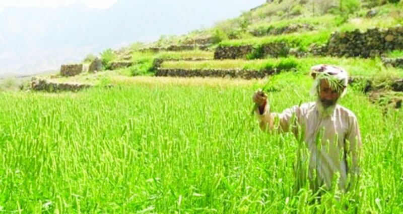 مختبر لتصميم برنامج استثماري عماني في الأمن الغذائي