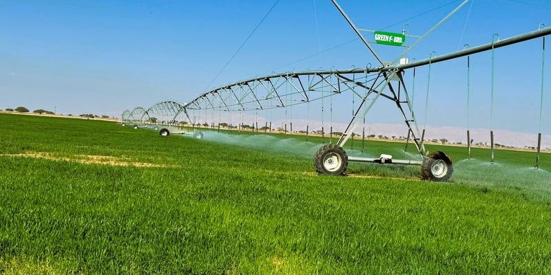 مشروع سيُنتج كميات وفيرة من البصل الأحمر