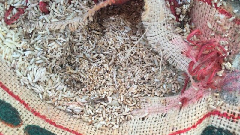 تفاصيل الجلسة الثانية من المحاكمة في قضية الأرز المغشوش