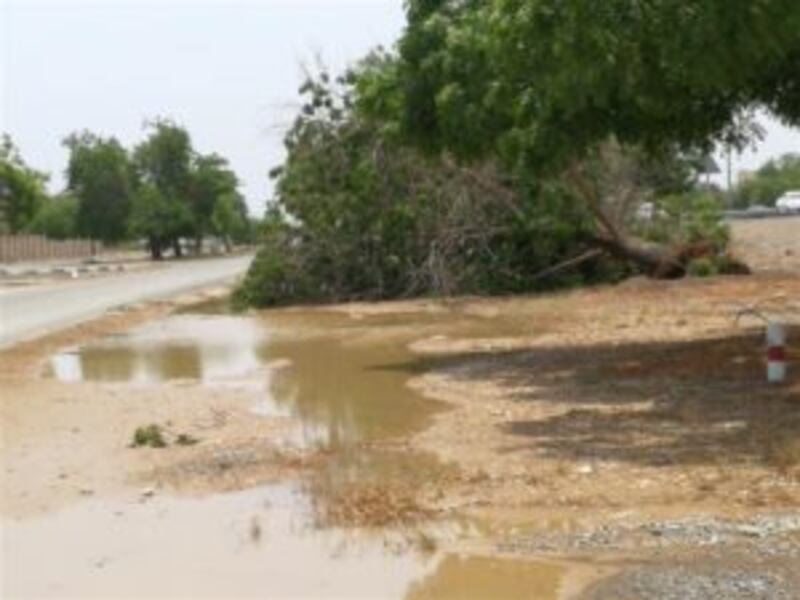 أضرار في عدد من الولايات بسبب الأمطار