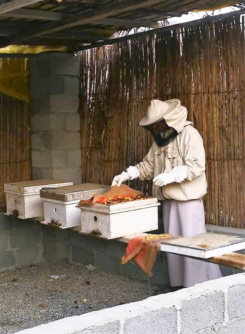 طريقتان لتربية العسل…والعماني له نوعان