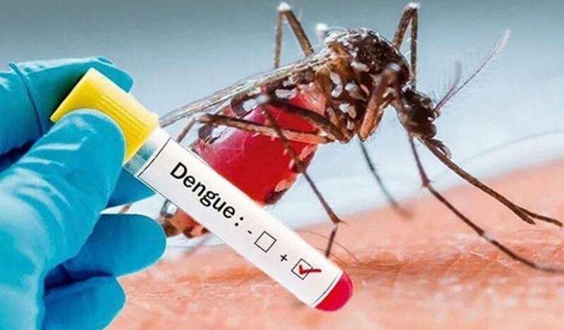 الكشف عن عدد الحالات المسجلة بحمى الضنك