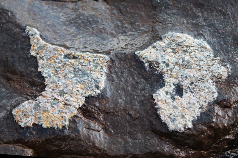 بالصور: فرشاة الطبيعة تحفر خارطة سلطنة عُمان وقارة إفريقيا على بطن صخرة