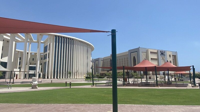 د.رجب العويسي يكتب: جامعات وكليات خاصة بلا أسوار ومعايير أمان؛ فمن المسؤول؟