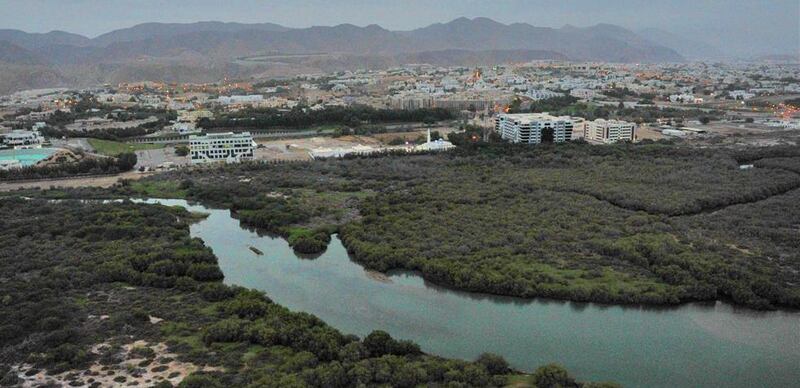 العين على الاستثمار في المحميّات.. ومسؤولة في “البيئة” توضح