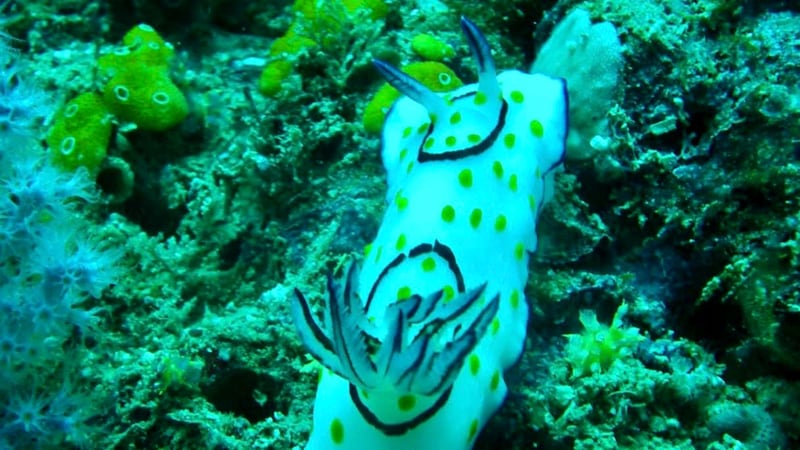 مواطن حوّل حلمه إلى مشروع تجاري فحصد النجاح