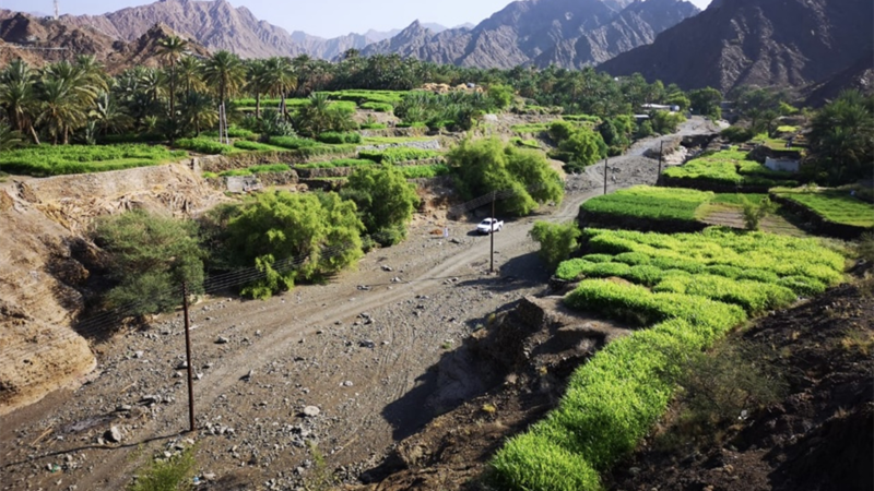 “البليدة”..بلدة سياحية طبيعية ذات شواهد تاريخية