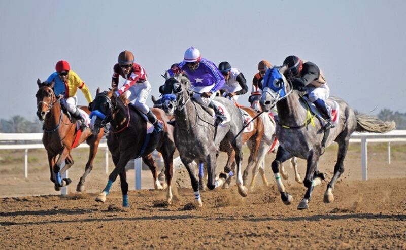 تعرف على الخيول المشاركة في السباق السادس لنادي سباق الخيل السلطاني