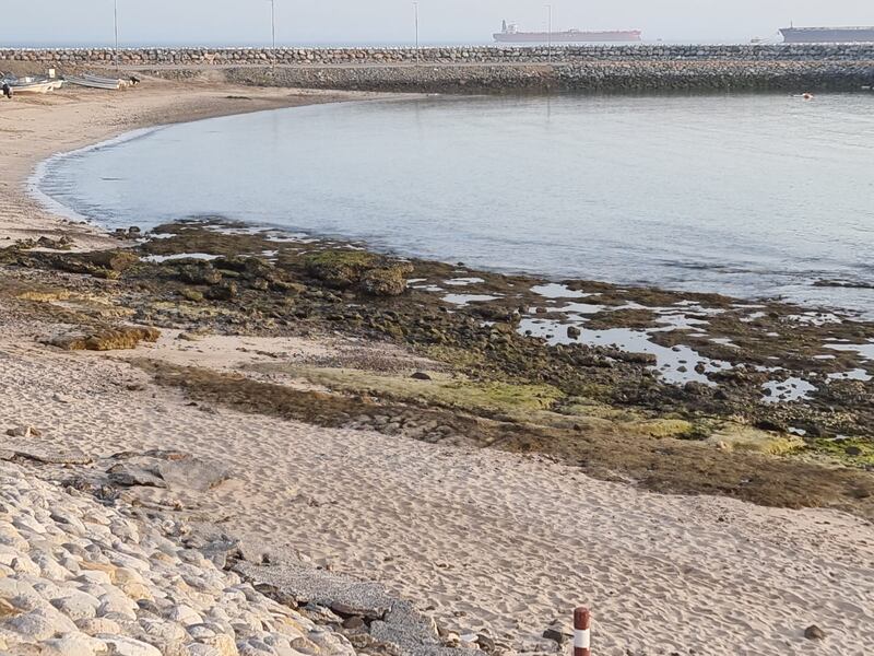 بالصور: معاناة سكّان “عينت” هل تجد لها آذانا صاغية؟