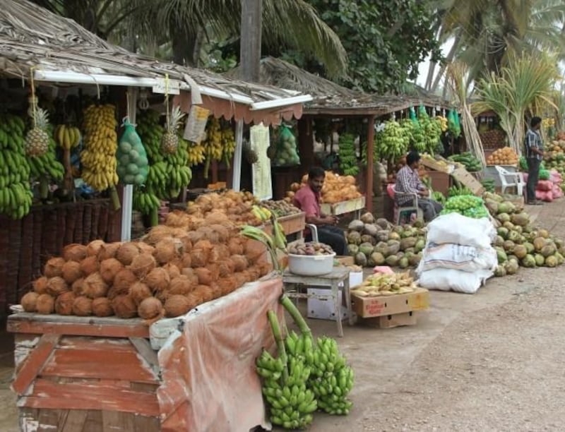 ماذا تعرف عن كشكات “المشلي”: شراب الخريف الطبيعي؟