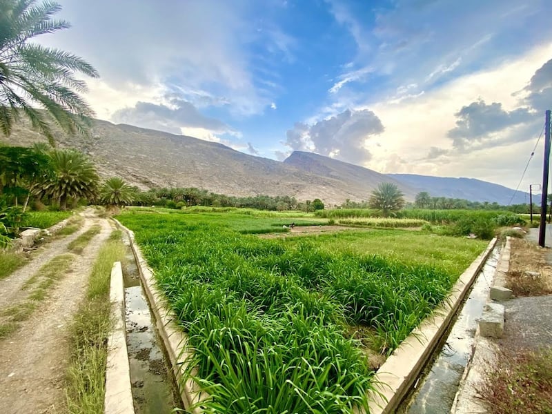 سلة غذائية ووجهة سياحية: هل زرت قرية تنوف؟