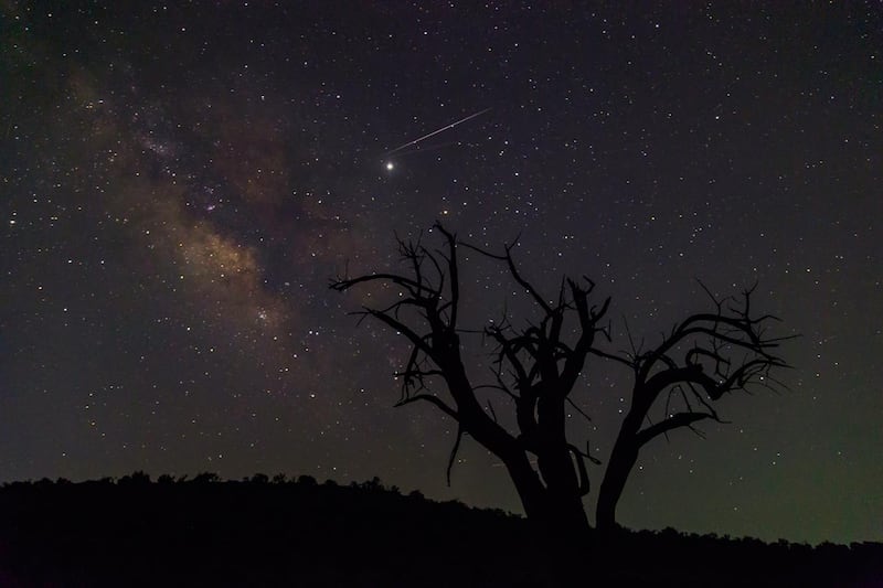 ذروتها الليلة: ظاهرة فلكية في سماء السلطنة ومختص يوضحها