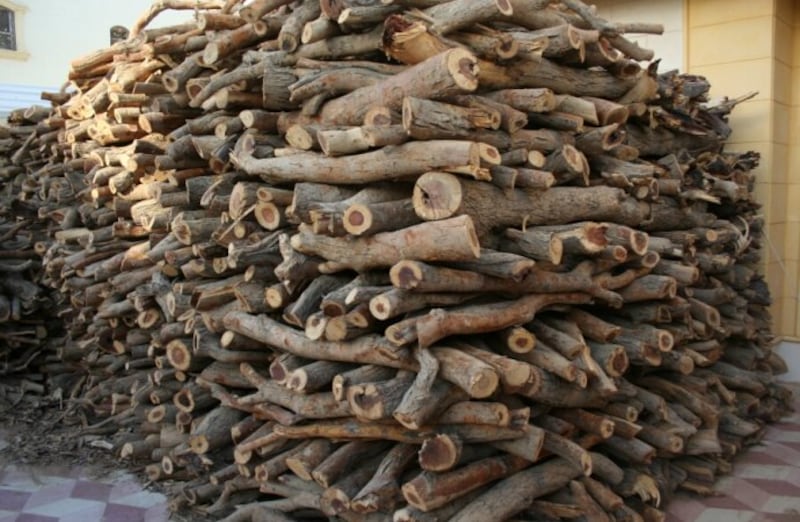 لائحة جديدة: حظر الاحتطاب من أملاك الدولة أو تسخيم الحطب إلا بتصريح.. وتحديد عقوبات ضد المخالفين