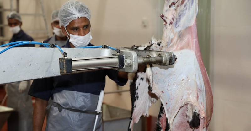 لمن يريد الذبح في المسالخ البلدية: إليك تواقيت العمل